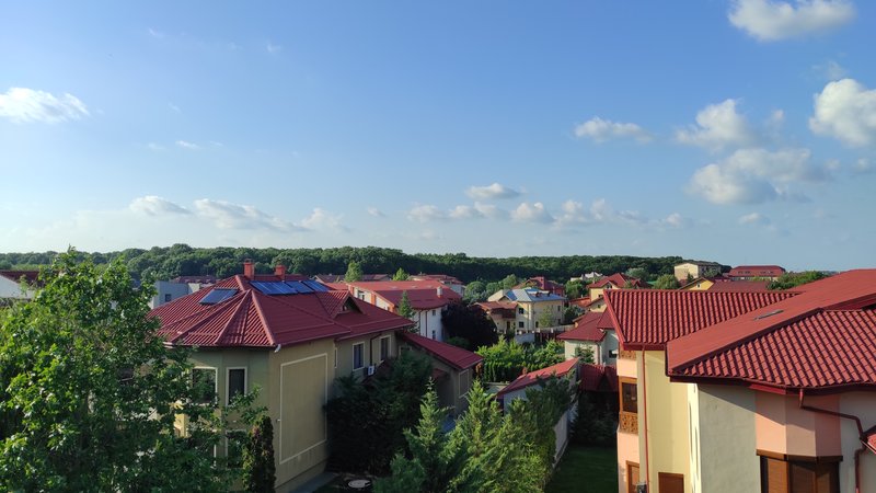 Rosu, Crinului, Vasile Sebe,