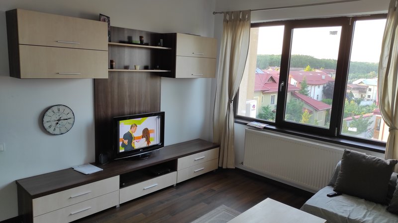 Rosu, Crinului, Vasile Sebe,