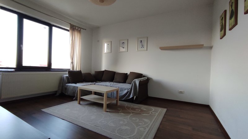 Rosu, Crinului, Vasile Sebe,