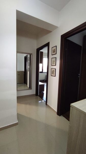 Rosu, Crinului, Vasile Sebe,